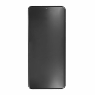 Sklo a LCD obrazovka pre Samsung Galaxy S20 Ultra / S20 Ultra 5G / SM-G988, originál, šedá